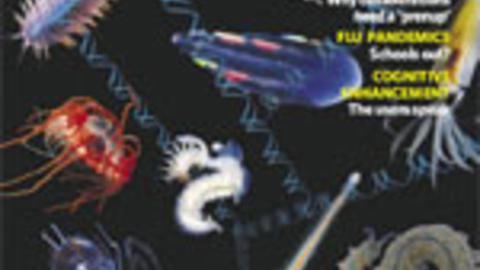 cover_nature452-2008.jpg