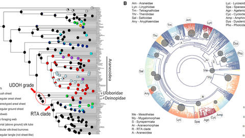 Fernandez et al. 2018