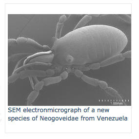 sem.jpg