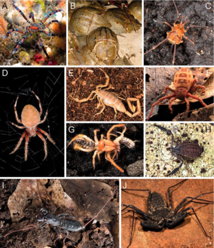 Sharma et al. 2014