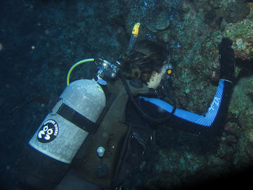 Collecting in Okinawa, Japan