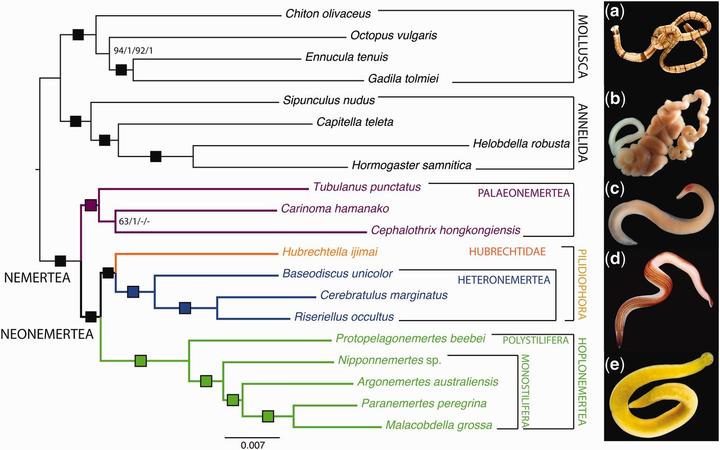 Andrade et al. 2014