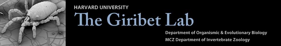 giribetlogo.jpg